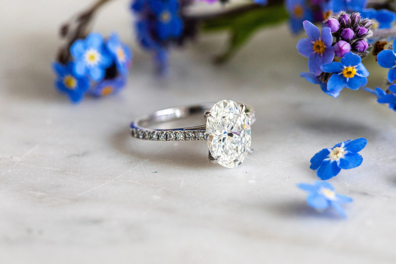 Oval lab diamond ring with pave shank in 18ct white gold