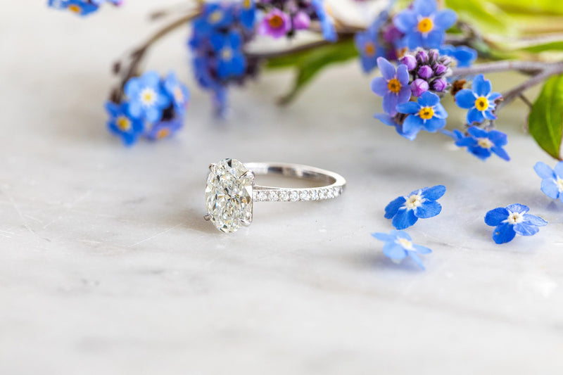 Oval lab diamond ring with pave shank in 18ct white gold