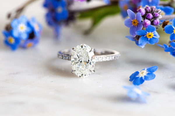 Oval lab diamond ring with pave shank in 18ct white gold